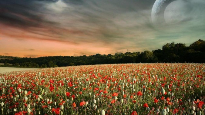 为什么苹果从来不宣传内存？